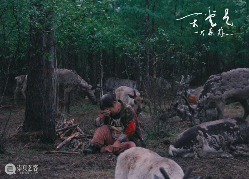 活动回顾|在知美术馆对谈“消亡的异托邦” 异托邦 活动 现代 文明 浪潮 北方 民族 深处 文化 尊严 崇真艺客